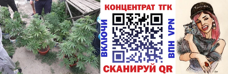 Дистиллят ТГК концентрат  купить   OMG сайт  Игра 